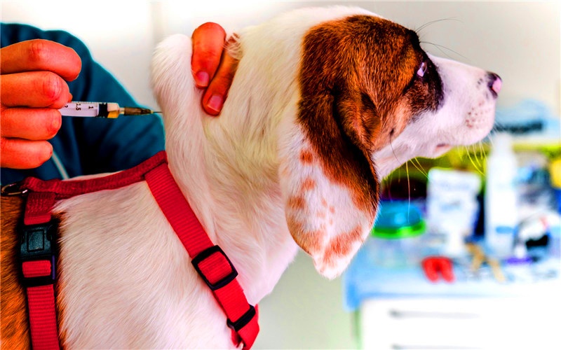 100萬資金的投入，現在可以做哪些見效快、有前景的實體項目？