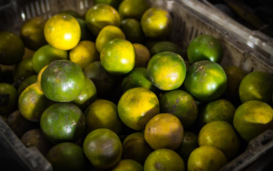 水果店如何經(jīng)營（開個(gè)水果店吸引人經(jīng)驗(yàn)分享）-專在家創(chuàng)業(yè)網(wǎng)