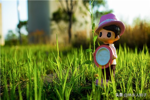 小縣城有什么商機?推薦6個縣城比較好的創業項目-專在家創業網