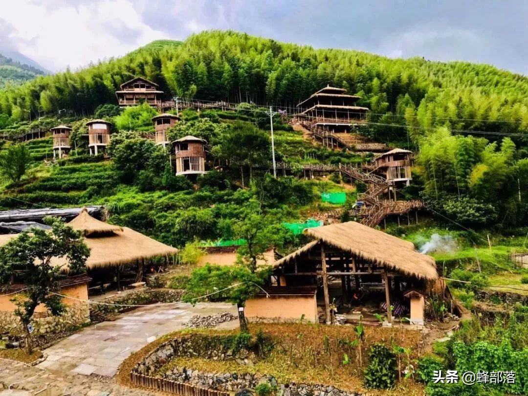 2021年農村發展,這些項目投資不多利潤高,管理好賺50萬是可能的