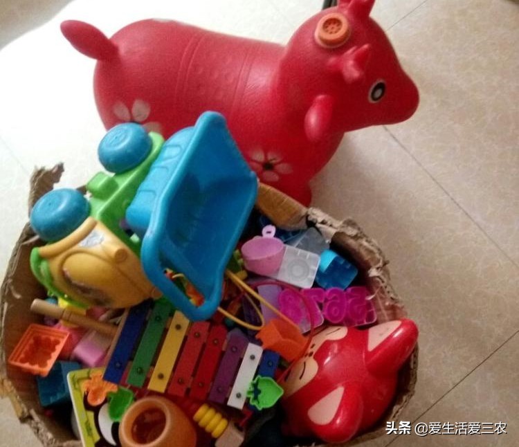 農業小項目,也能掙大錢,這些偏門小生意原來真的很掙錢!