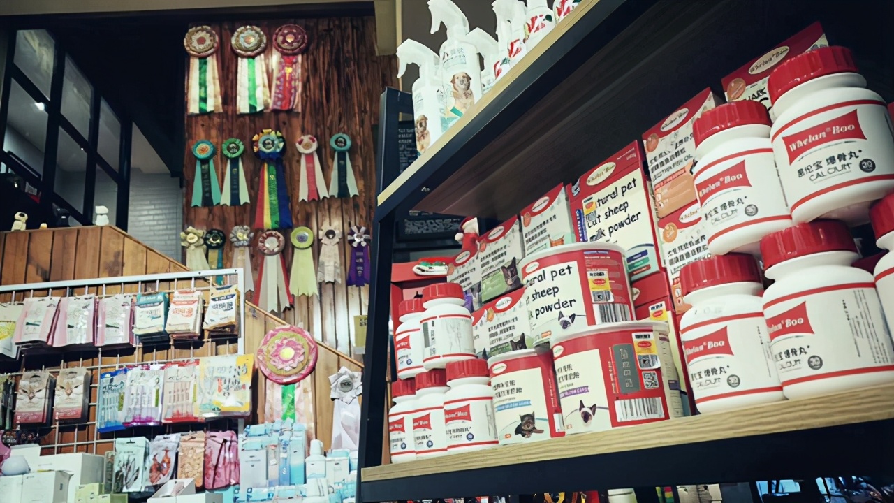 想開個寵物用品店需要什么(開寵物店需要辦理的手續和證件)-專在家創業網