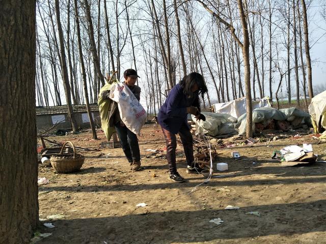 2021年農(nóng)村大發(fā)展，四個項目投資少利潤高，管理好一年30萬