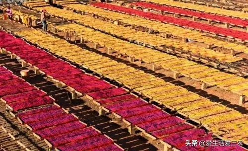 農業小項目,也能掙大錢,這些偏門小生意原來真的很掙錢!