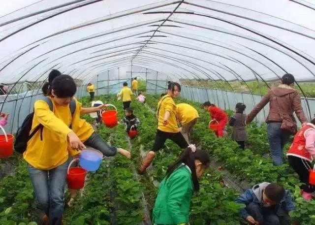 月入過萬，而且一個人能做的項目有哪些？(1)