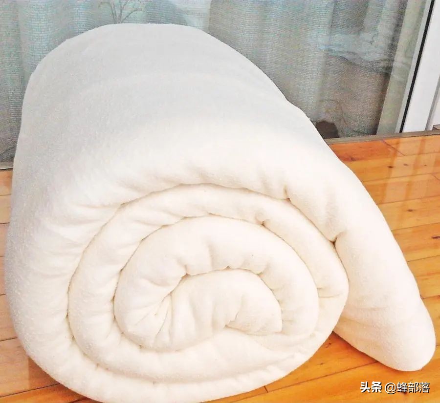 在農村，做什么項目可以穩定賺錢？這5個項目投資不大，利潤還高