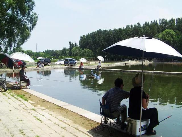 個人創業做什么項目好?一個月做什么可以月入過萬-專在家創業網