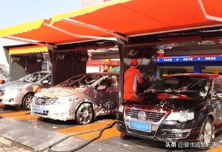 農業小項目,也能掙大錢,這些偏門小生意原來真的很掙錢!