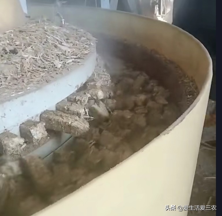 農業小項目,也能掙大錢,這些偏門小生意原來真的很掙錢!