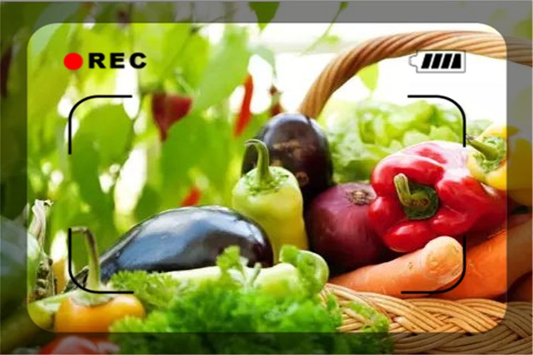 低成本創業適合年輕人的創業項目有哪些呢？四個項目要了解！-專在家創業網