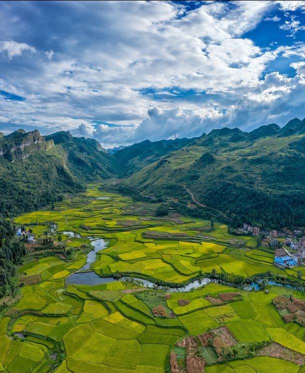 回鄉創業做什么最合適?年輕人回農村創業項目推薦-專在家創業網