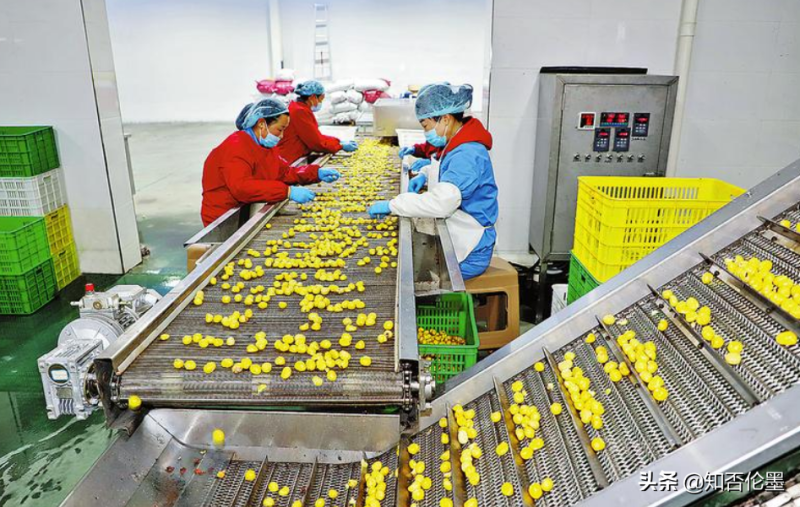 不愁銷路的小型加工廠 -4 不愁銷路的小型加工廠 -4