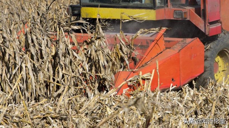 農村最缺什么生意?適合農村的3個生意 -3 農村最缺什么生意?適合農村的3個生意 -3