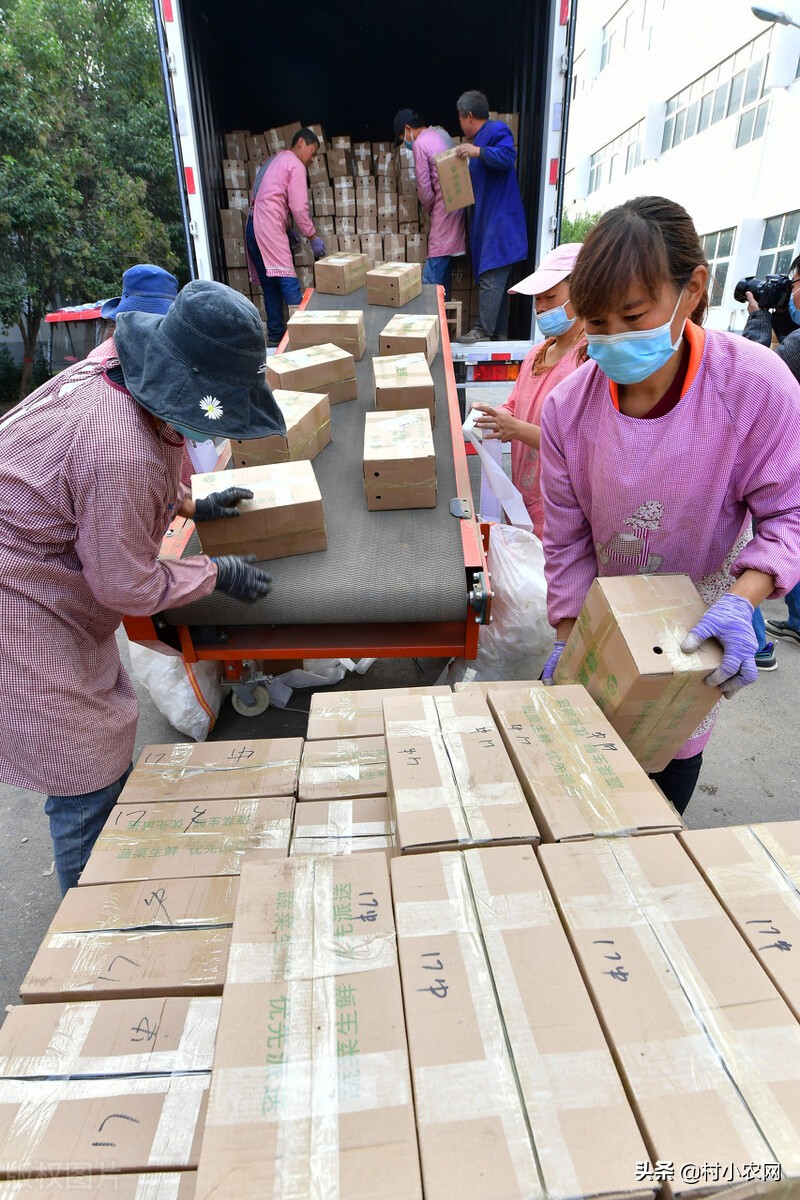 投資小賺錢快的18個創業項目 -11 投資小賺錢快的18個創業項目 -11