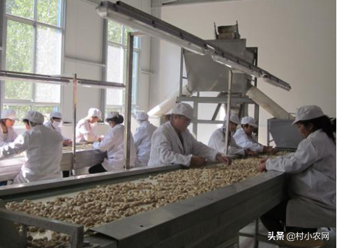 投資小賺錢快的18個創業項目 -10 投資小賺錢快的18個創業項目 -10