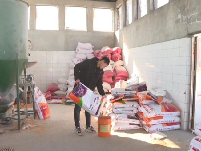 養羊創業:90后小伙返鄉創業走上“羊”光大道-專在家創業網