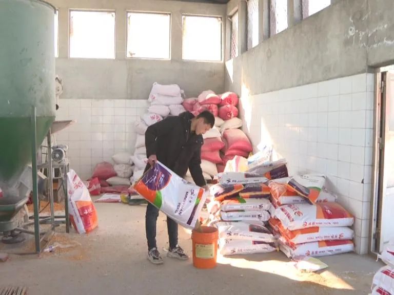 清原90后“新農人”返鄉創業走上“羊”光大道-1