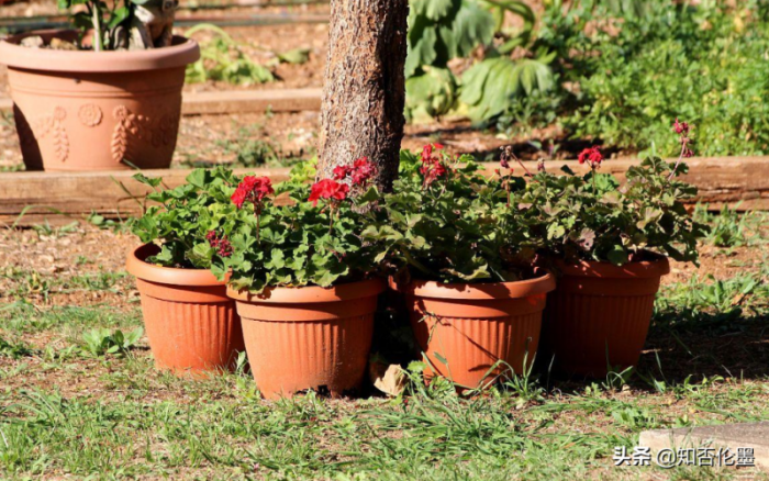 不愁銷路的小型加工廠投資創(chuàng)業(yè)項目有哪些?年利潤三十萬小作坊-專在家創(chuàng)業(yè)網(wǎng)