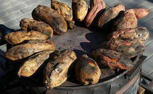 現在農村有什么創業項目 農村新農業創業項目-5 現在農村有什么創業項目 農村新農業創業項目-5