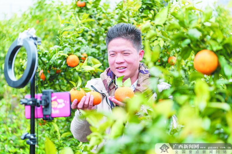 大學生返鄉創業(返鄉創業大學生自述)-專在家創業網