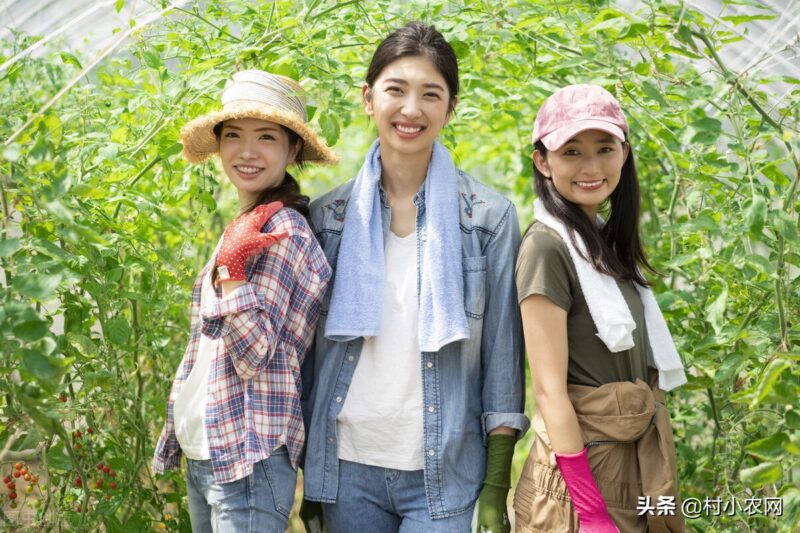 創(chuàng)業(yè)致富好項(xiàng)目 最新農(nóng)村致富好項(xiàng)目-專在家創(chuàng)業(yè)網(wǎng)