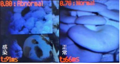 龍江創業創新大賽:掀新潮 逐浪高-8 龍江創業創新大賽:掀新潮 逐浪高-8