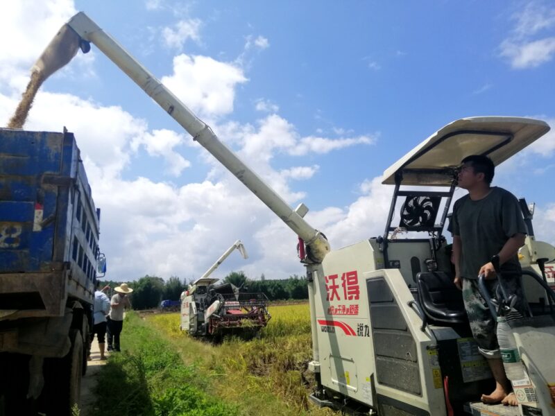 封開南豐鎮：90后新農人回鄉創業，1200畝水稻實現機械化種植-2