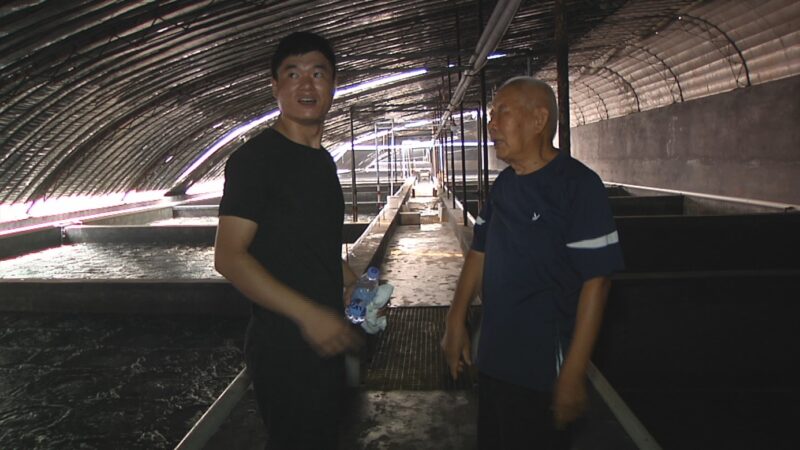 王書德：耄耋之年再創業 帶頭探索致富路-2