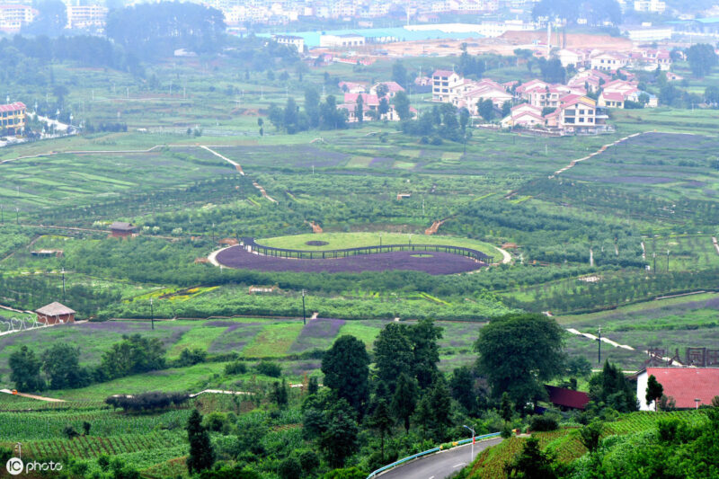 鄉(xiāng)村振興的重點(diǎn)什么-專在家創(chuàng)業(yè)網(wǎng)