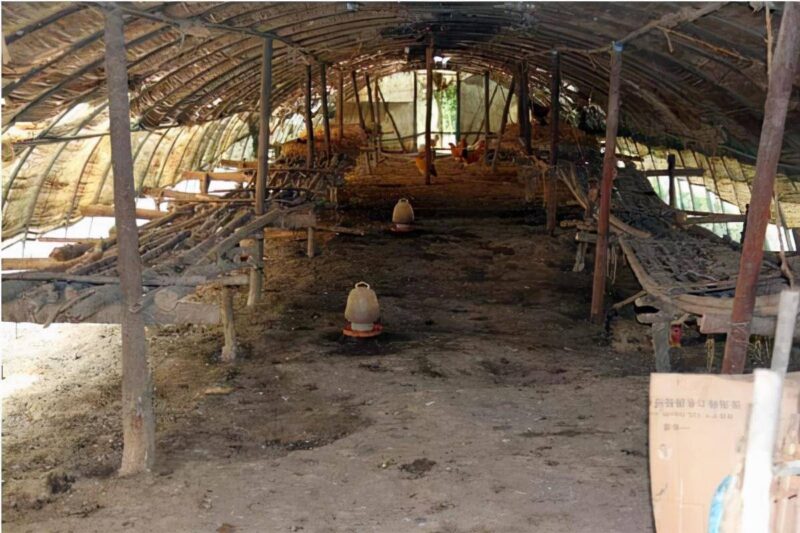 2000只散養雞一年賺多少錢?養2000只溜達雞利潤-專在家創業網