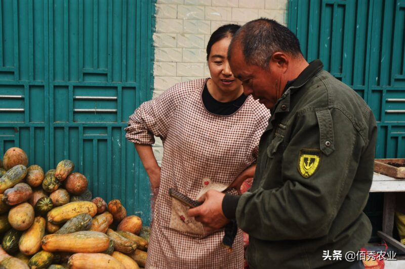 一個(gè)女人在家養(yǎng)殖什么賺錢（適合女人在家做的項(xiàng)目）-專在家創(chuàng)業(yè)網(wǎng)