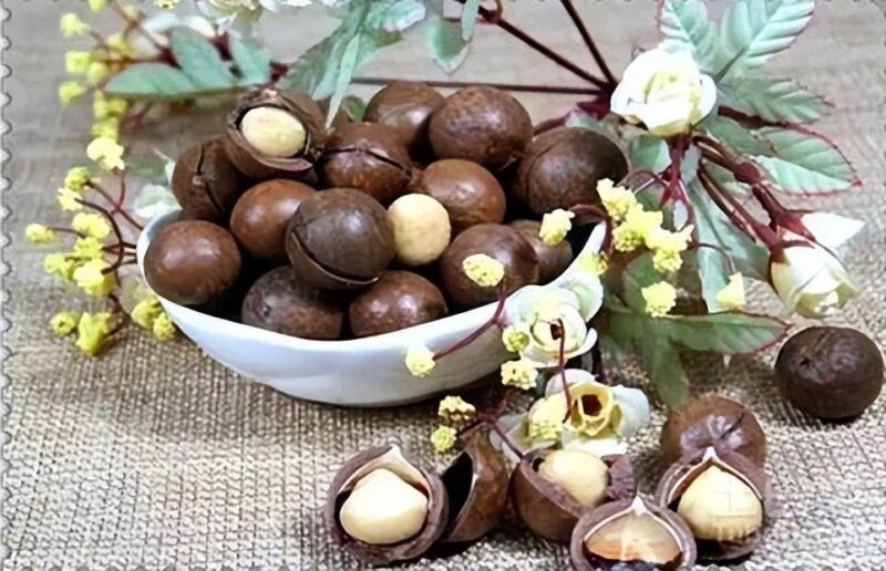 在農(nóng)村種植什么賺錢快(7個(gè)農(nóng)村種植致富好項(xiàng)目)-1 在農(nóng)村種植什么賺錢快(7個(gè)農(nóng)村種植致富好項(xiàng)目)-1