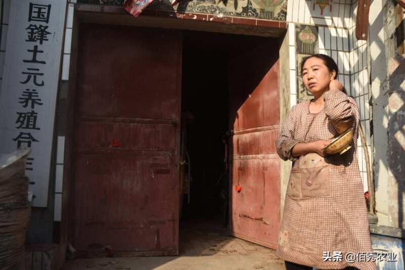 一個(gè)女人在家養(yǎng)殖什么賺錢（適合女人在家做的項(xiàng)目）-1