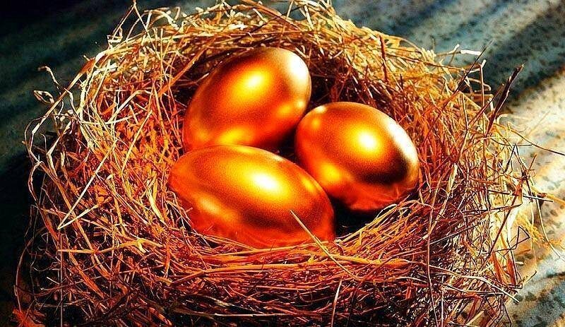 孵化園是干什么的-1 孵化園是干什么的-1