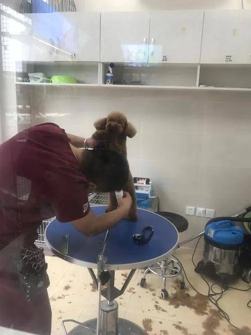 什么工作掙錢快又多還不要學歷-1 什么工作掙錢快又多還不要學歷-1