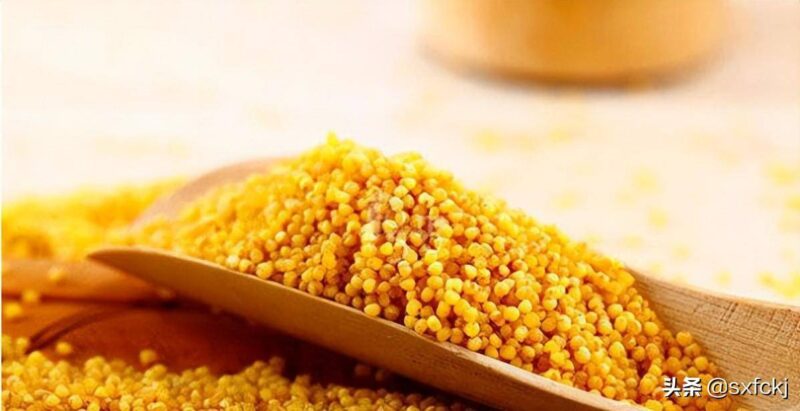 山西特產排行榜前十名（山西特產排名小吃）-專在家創業網