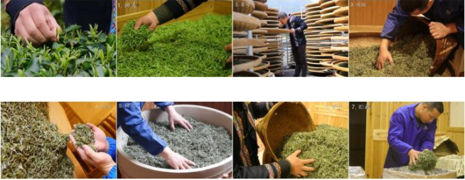 福建十大名茶品牌(福建名茶排行榜)-專在家創(chuàng)業(yè)網(wǎng)