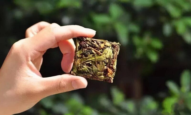 福建十大名茶品牌(福建名茶排行榜)-1