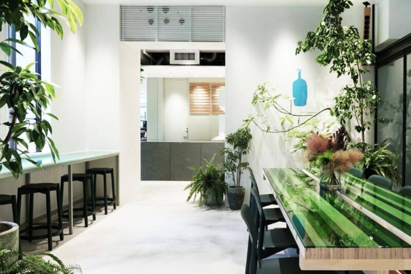 朋友開店一般送什么禮物好?朋友新店開業七個禮物-1 朋友開店一般送什么禮物好?朋友新店開業七個禮物-1