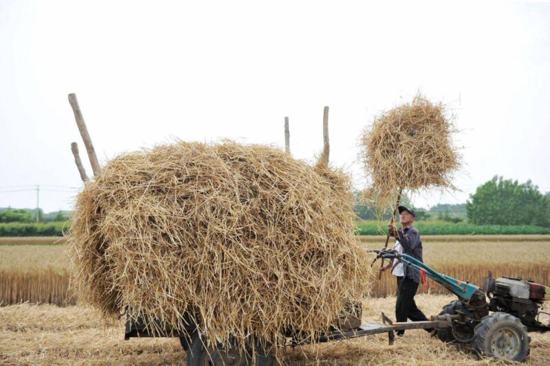 農(nóng)村什么項(xiàng)目投資小賺錢快?推薦六個(gè)家庭致富項(xiàng)目-1