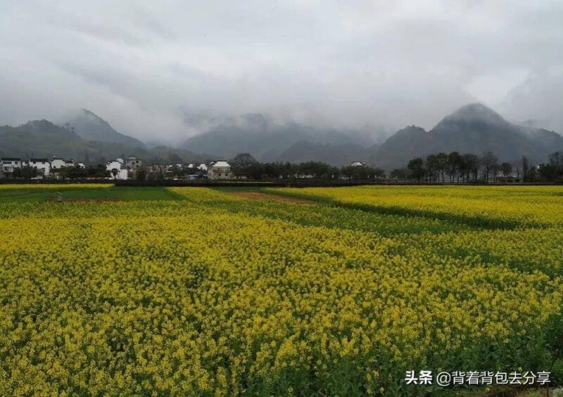 安徽旅游必去十大景點(安徽旅游景點大全排名榜)-1