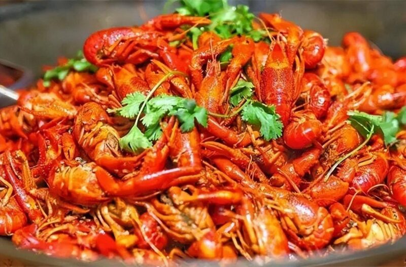 農(nóng)村養(yǎng)殖什么好養(yǎng)又好賣?5個(gè)適合窮人養(yǎng)殖創(chuàng)業(yè)項(xiàng)目-專在家創(chuàng)業(yè)網(wǎng)