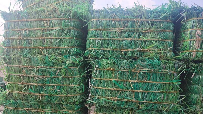 加盟家庭辦廠加工-1