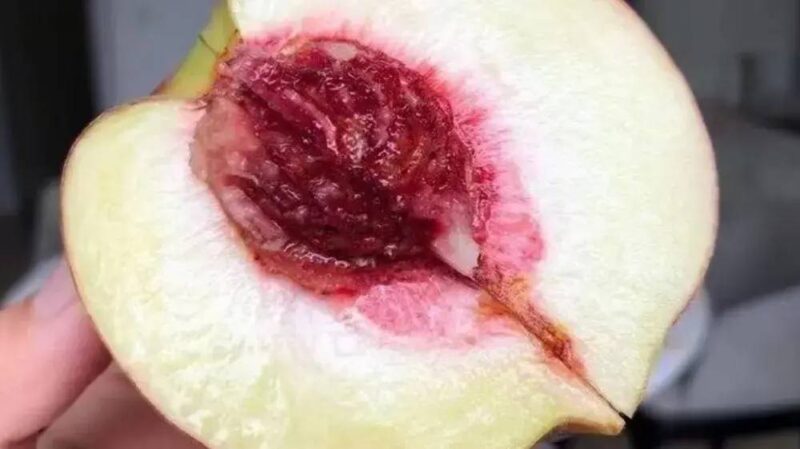 怎么做水果批發生意(做水果批發生意必須懂)-專在家創業網