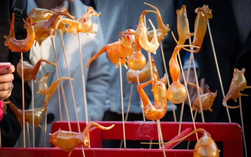 十二生肖排序(十二生肖的順序表)-1 十二生肖排序(十二生肖的順序表)-1