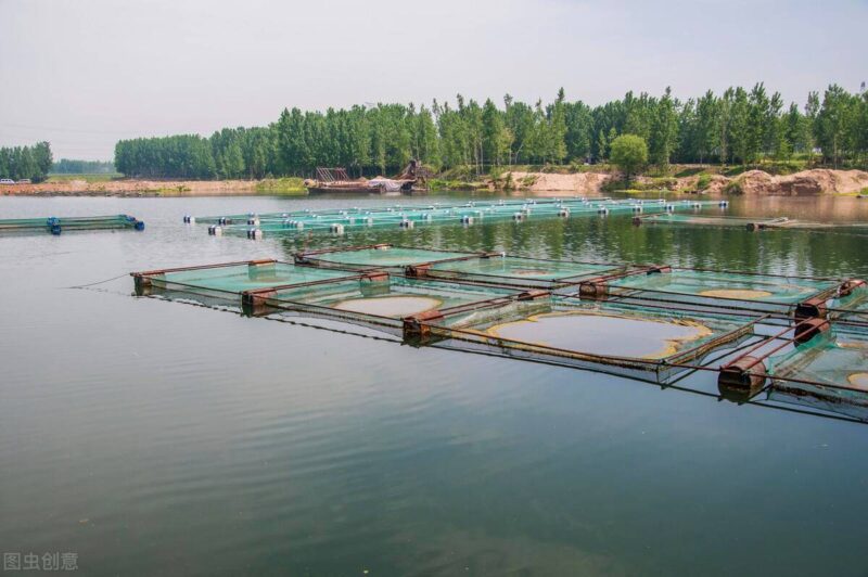 養殖致富新項目新點子-專在家創業網