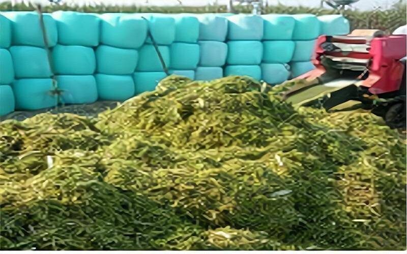 投資小的生意賺錢項目有哪些？投資小賺錢快的18個創(chuàng)業(yè)項目-1