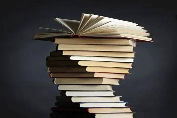 好看的小說排行榜前十名（十部頂級(jí)耐看小說言情）-專在家創(chuàng)業(yè)網(wǎng)