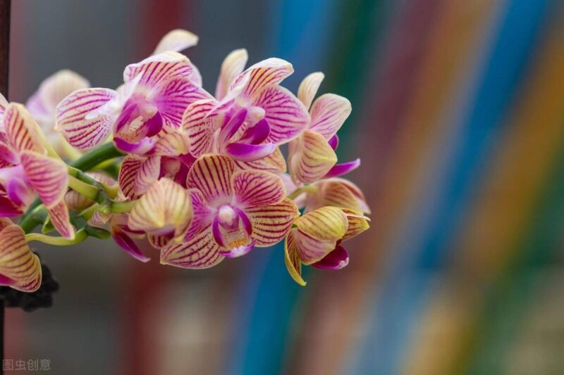 初次創業開什么店合適-1 初次創業開什么店合適-1