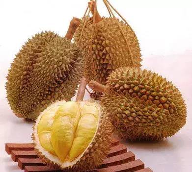 長柄榴蓮是什么品種(世界十大頂級榴蓮)-1 長柄榴蓮是什么品種(世界十大頂級榴蓮)-1